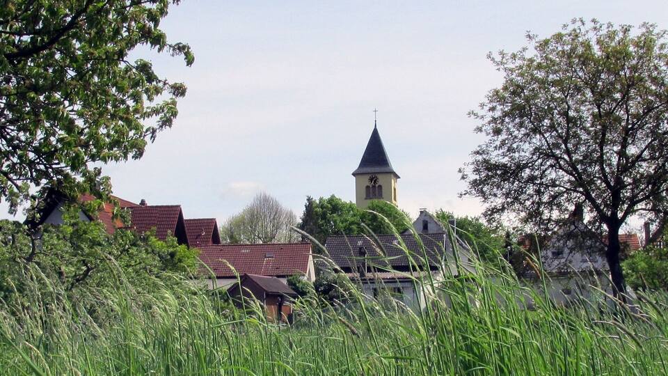 A church with a steeple and clock tower, surrounded by houses and tall grass.