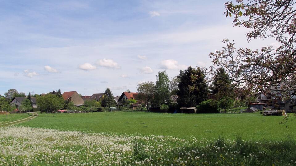 A rural landscape with a green field dotted with white flowers, surrounded by trees and houses with red roofs.