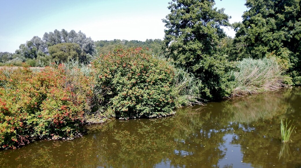 Die Jagst bei Stimpfach