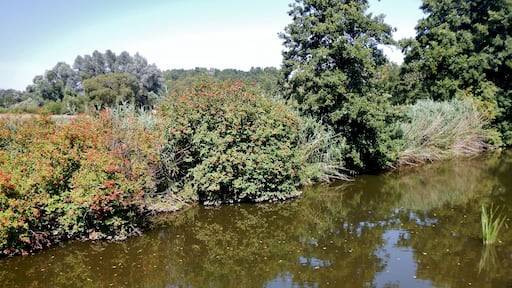 Die Jagst bei Stimpfach