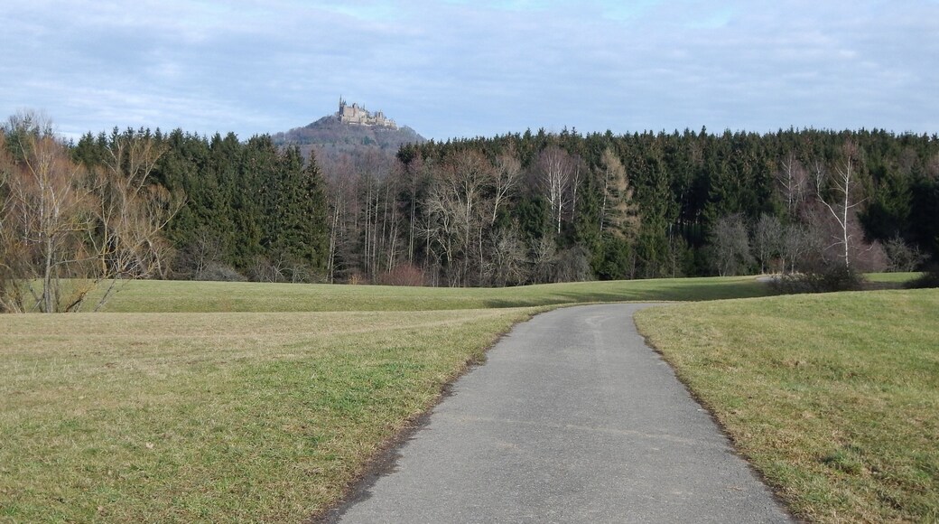 Blick Richtung Burg Hohenzollern