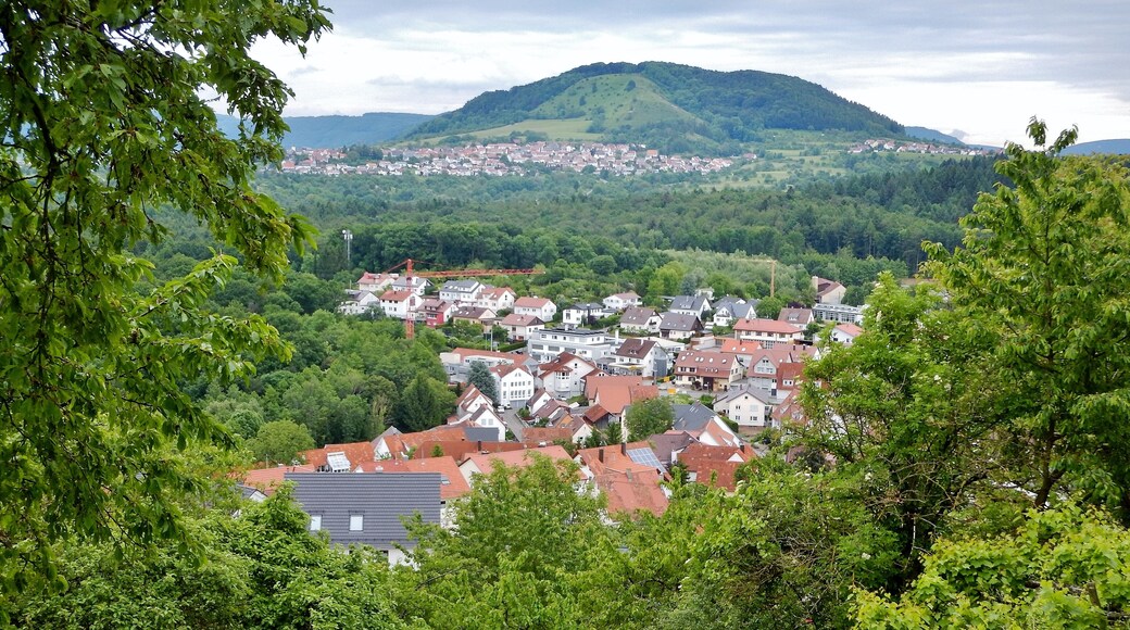 Ausblick vom Grafenberg zum Jusiberg