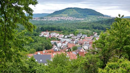 Ausblick vom Grafenberg zum Jusiberg