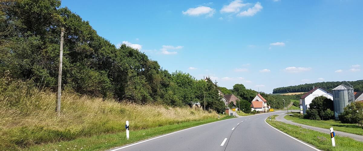 A rural road flanked by trees and houses.