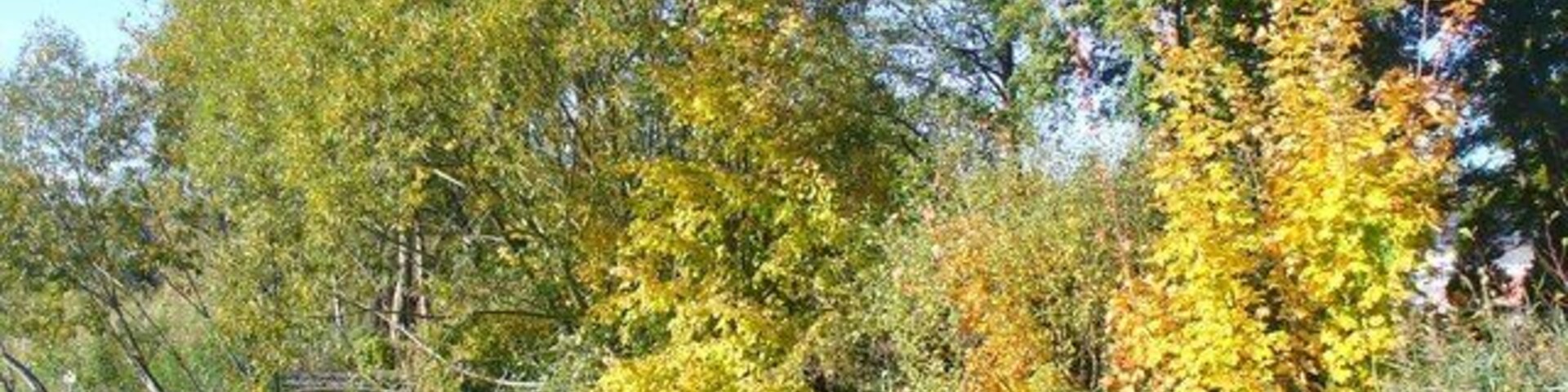 Alt Buchhorst - Peetzseeufer (Lake Peetz Bank)