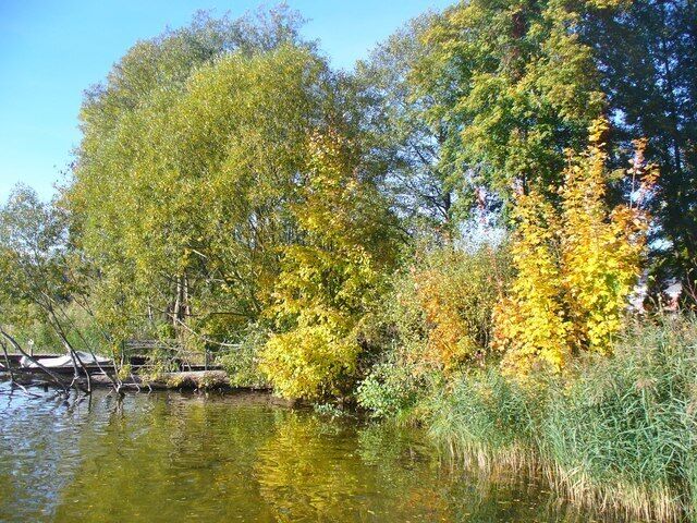 A calm river with trees displaying autumn foliage.