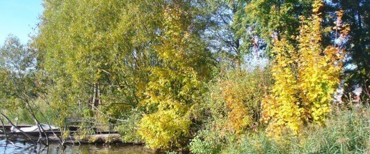 A calm river with trees displaying autumn foliage.