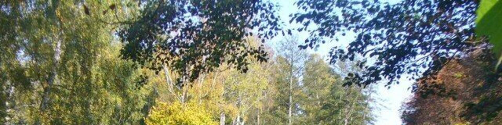 Alt Buchhorst - Verbindung an der Seenkette (Lake Chain Connection)