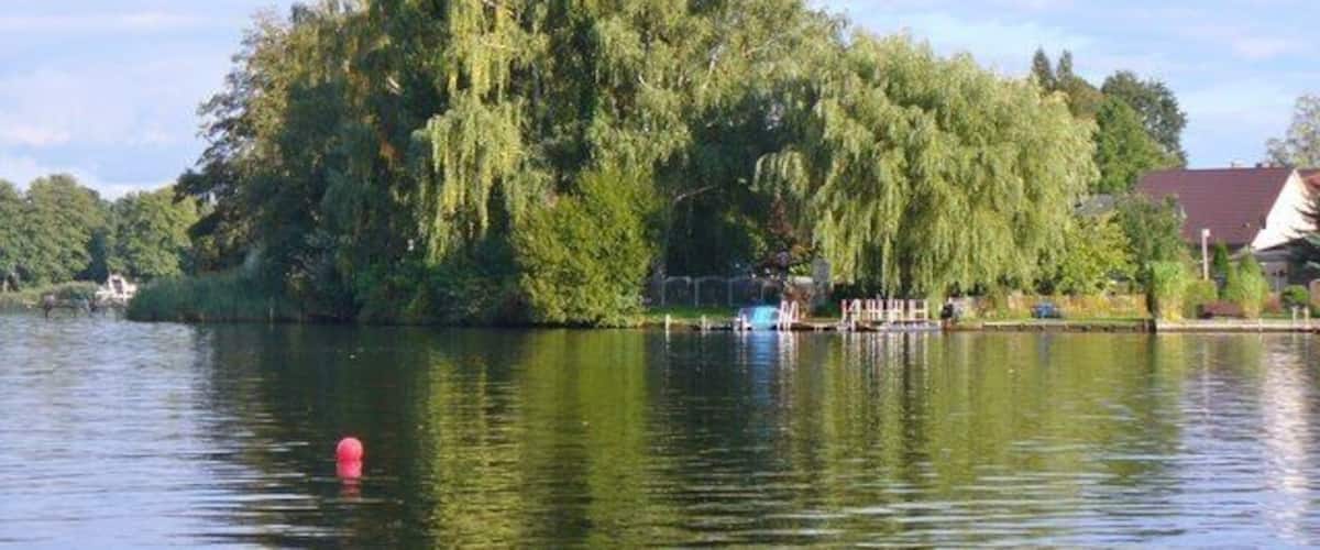 A calm lake with a weeping willow tree and a red buoy.