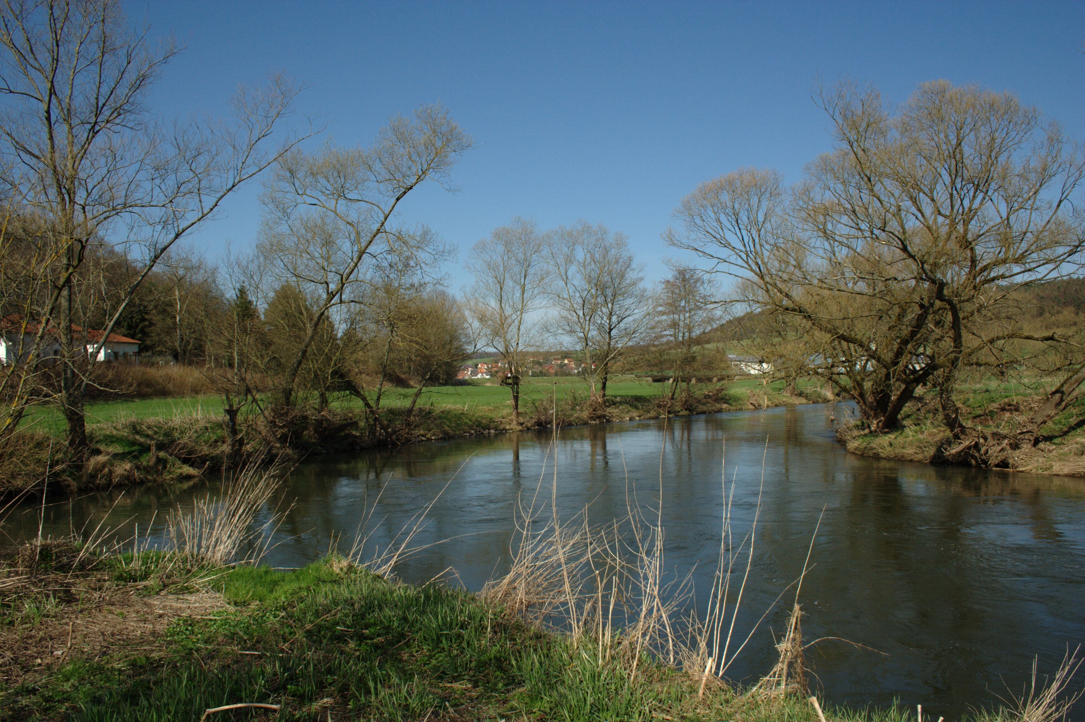 A river with trees and a house in the background.