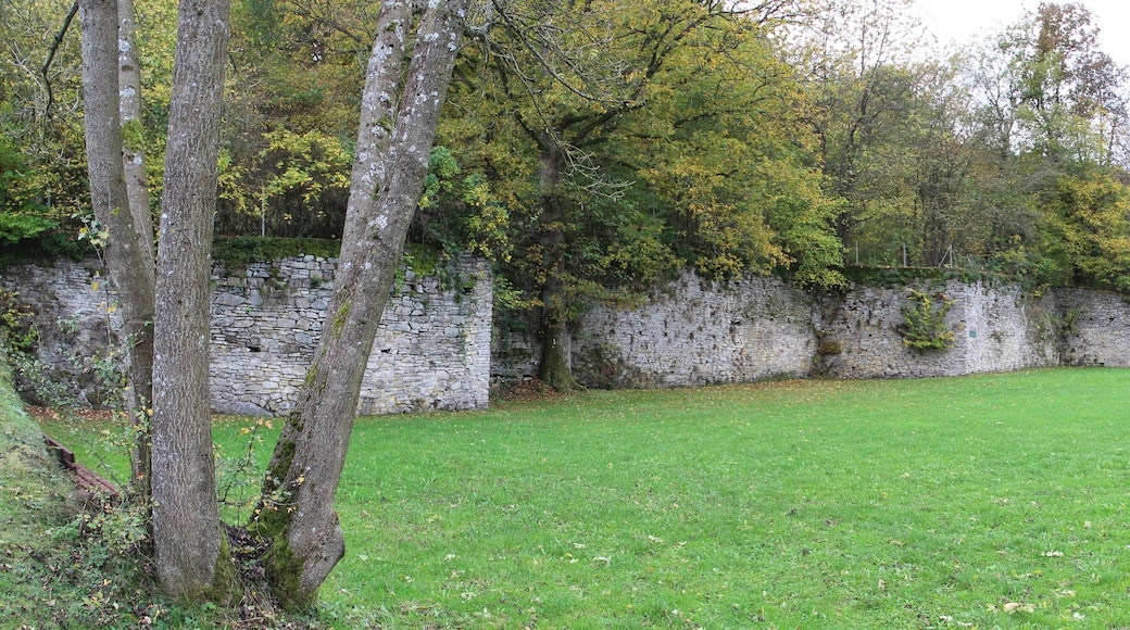 Ruine des Jagdschlosses Katzenbach