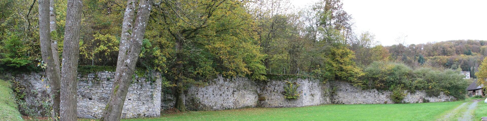 Ruine des Jagdschlosses Katzenbach