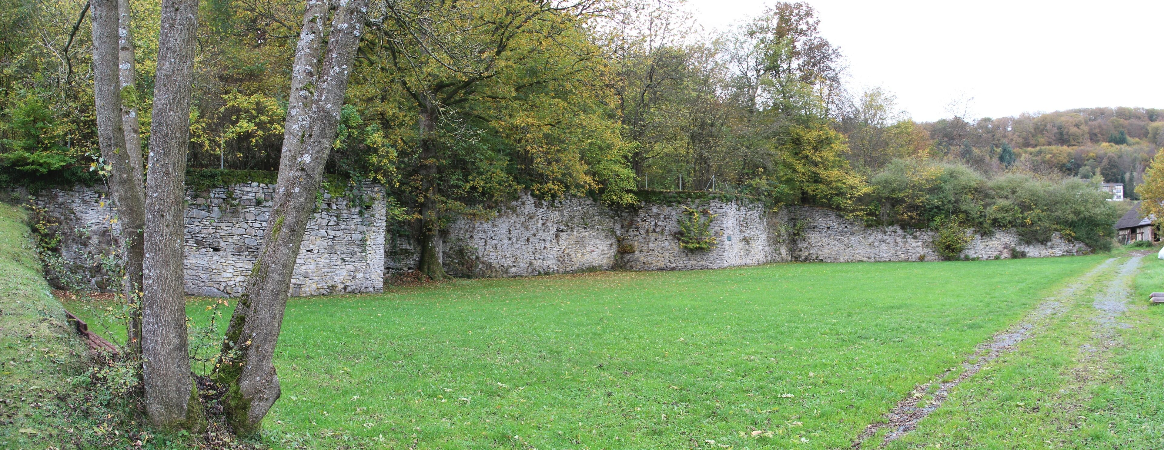 A stone wall, a grassy field, and trees with autumn foliage.