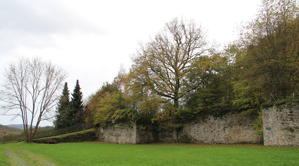 Ruine des Jagdschlosses Katzenbach
