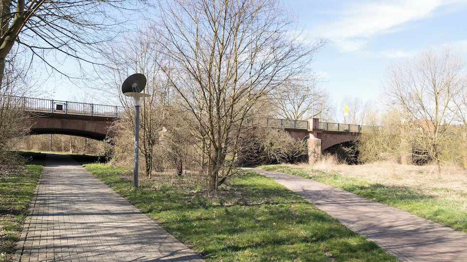 A paved walkway under a bridge, surrounded by trees and grass.
