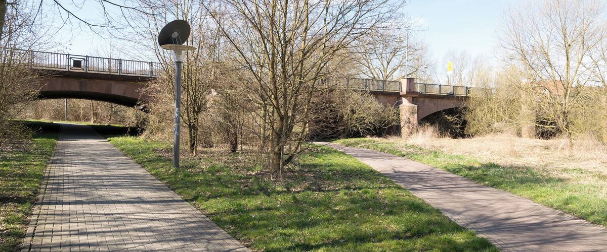 A paved walkway under a bridge, surrounded by trees and grass.