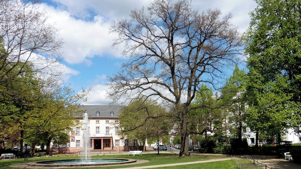 A park with a fountain, a large tree, and a building in the background.
