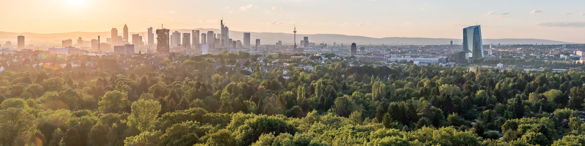 Frankfurt Skyline