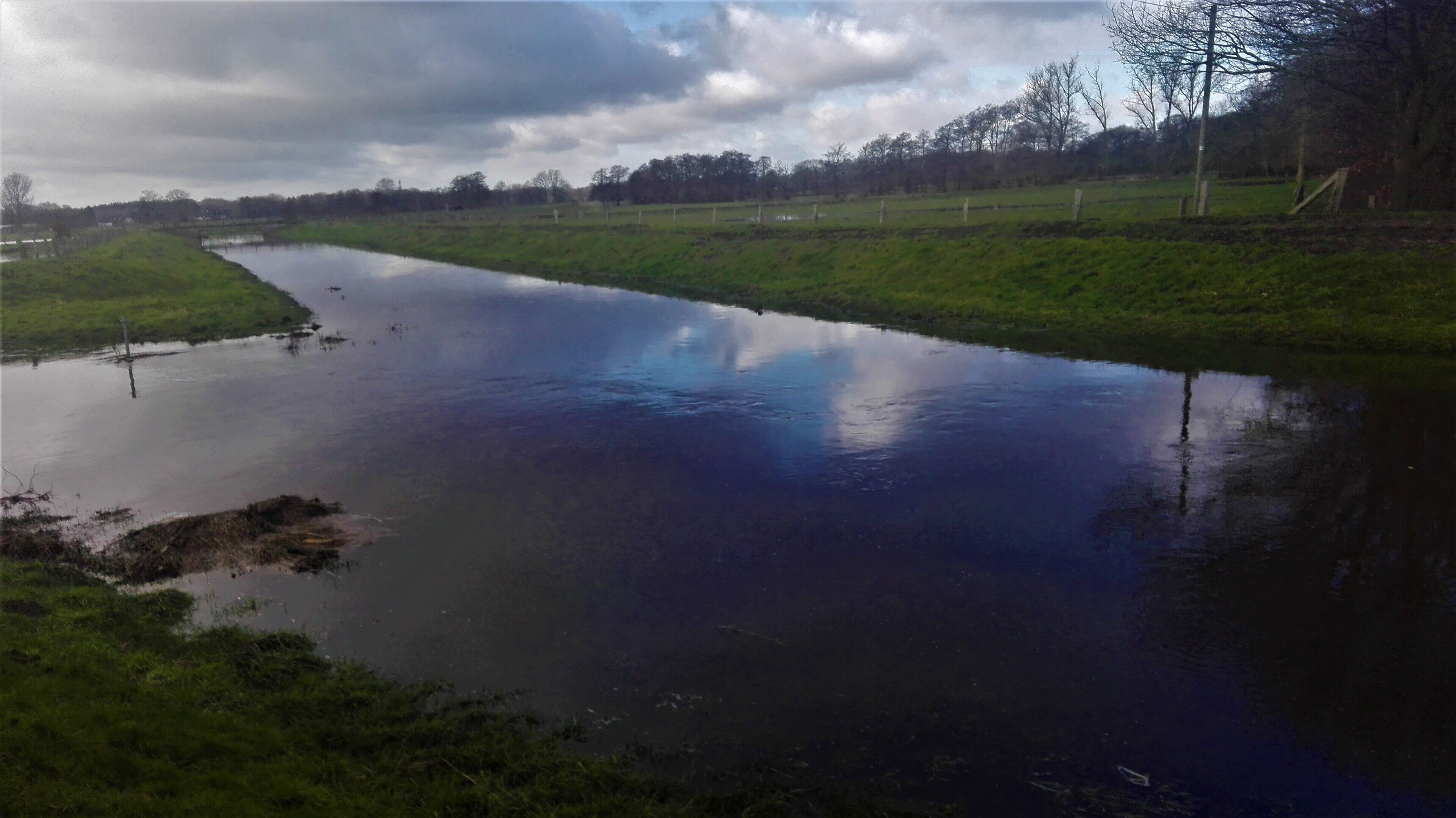 A calm river with a grassy bank and trees in the background.