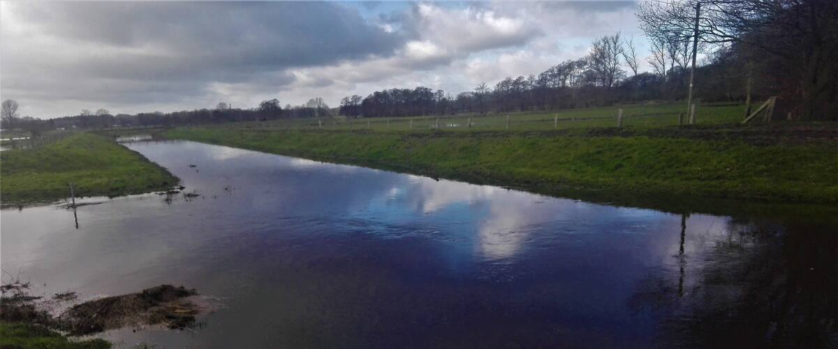 A calm river with a grassy bank and trees in the background.