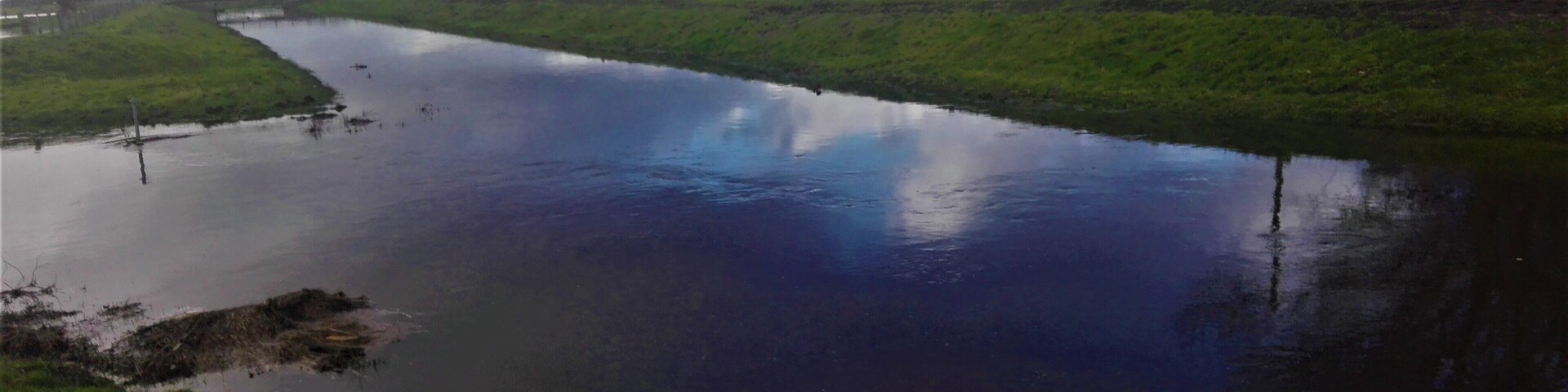 A calm river with a grassy bank and trees in the background.