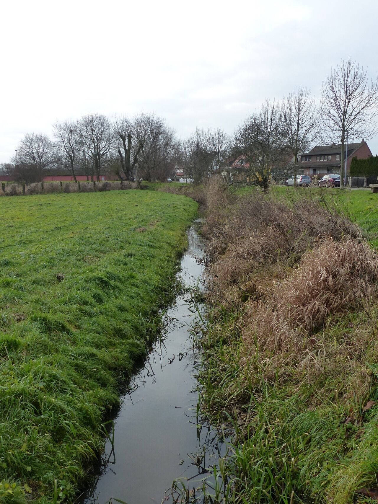 Die Ohe (Schunter) am Ortsrand von Rühme, Blickrichtung Süden, stromaufwärts.