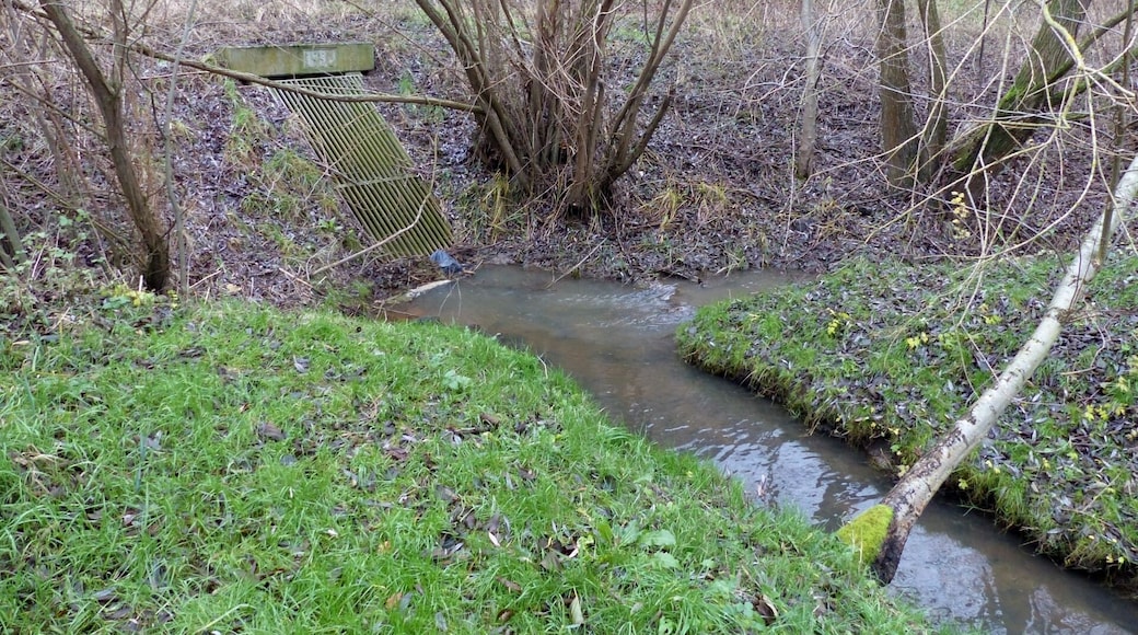 Abfluss der Ohe in die Unterführung der Autobahn A2 bei Rühme, Blickrichtung Norden zur A2.