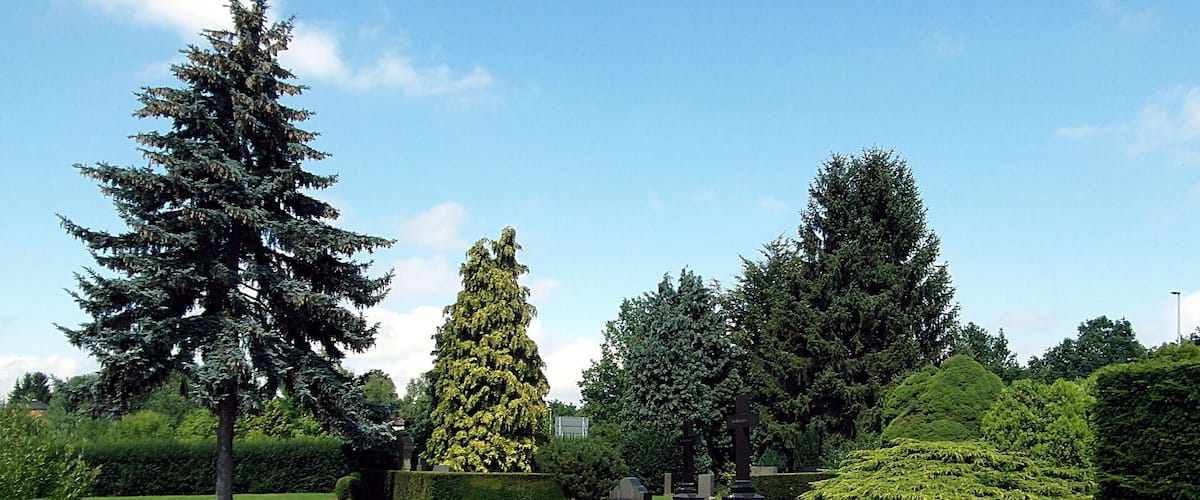 Gräber auf dem Stadtteilfriedhof Wettbergen „Oberes Bergfeld“ in Hannover.