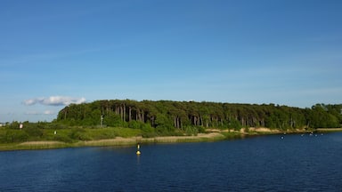 A lake with a forested shoreline and a buoy in the water.
