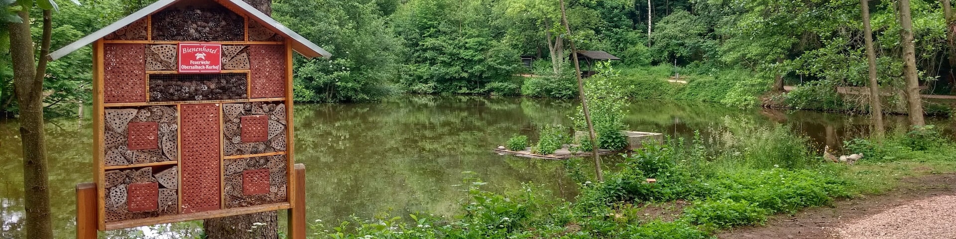 Ortsansicht Obersalbach-Kurhof