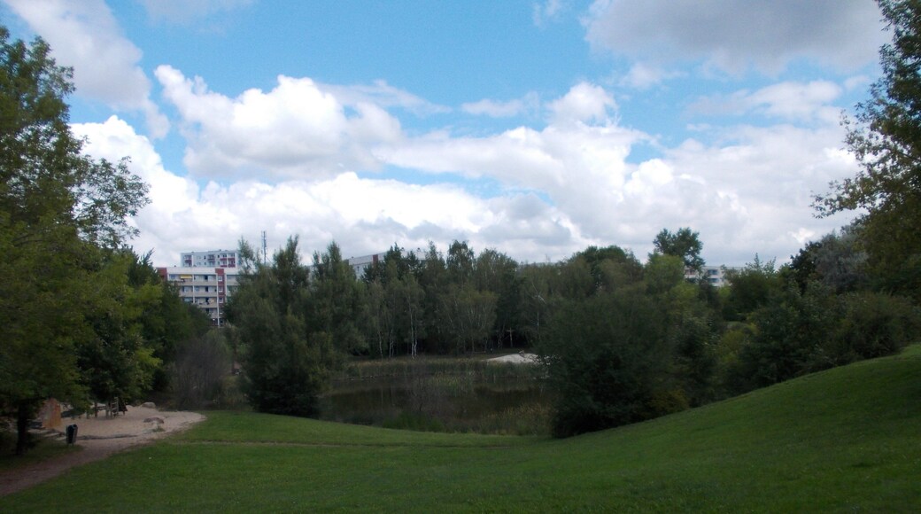 Little Pond in Halle-Neustadt (Halle/Saale)