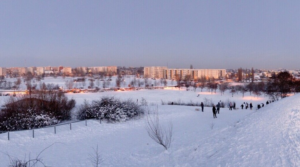 Kümmelsberg Panorama 180°, 04.01.2010