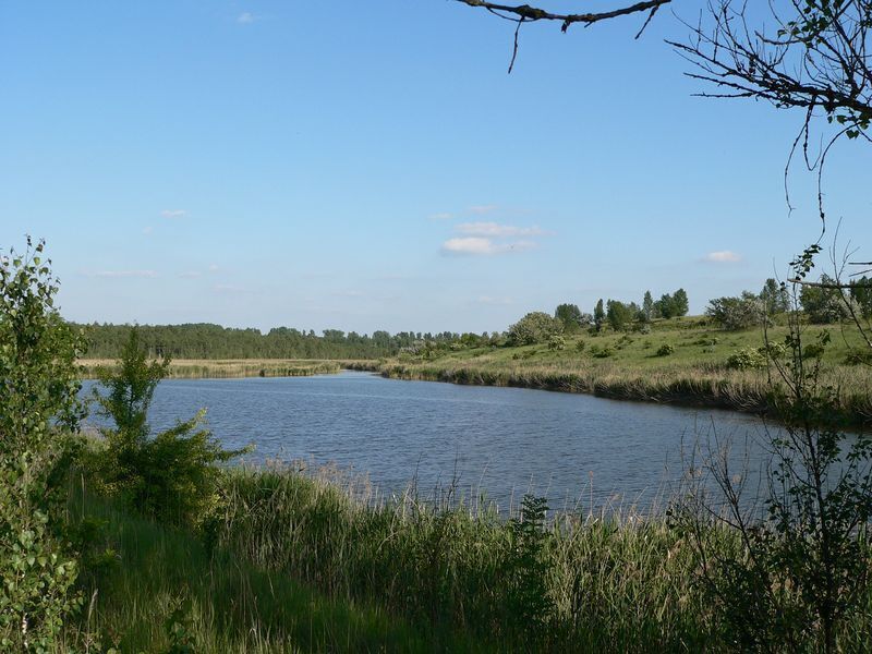 A calm river surrounded by grassy banks and trees under a clear sky.