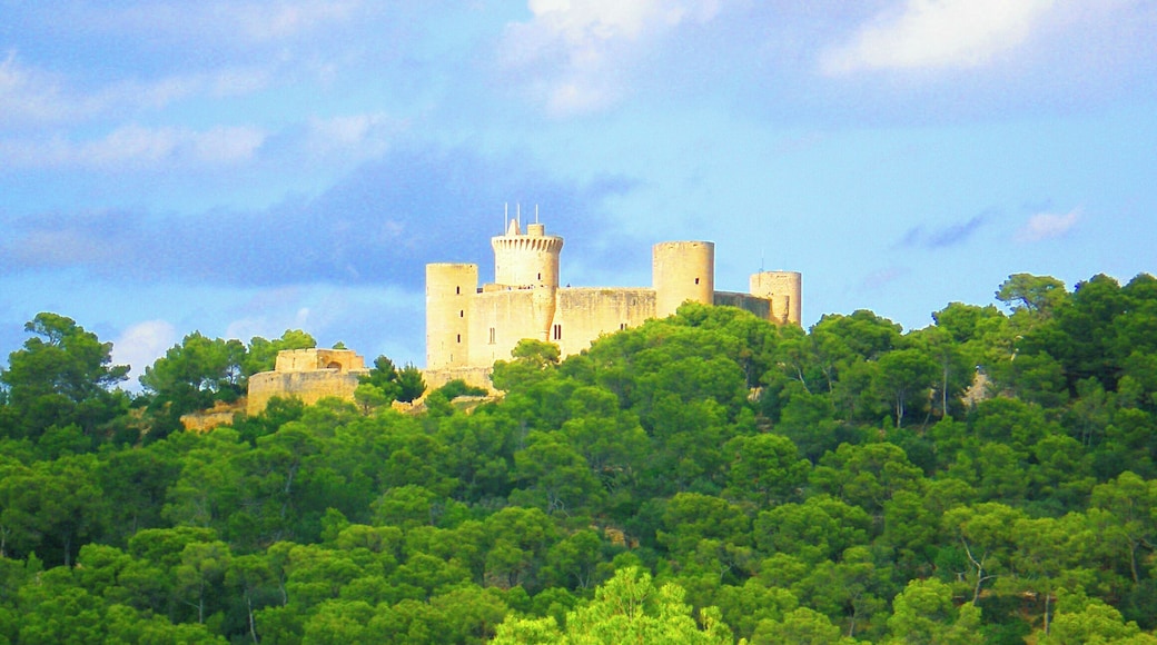 Palma de Mallorca - Bosque y Castillo de Bellver