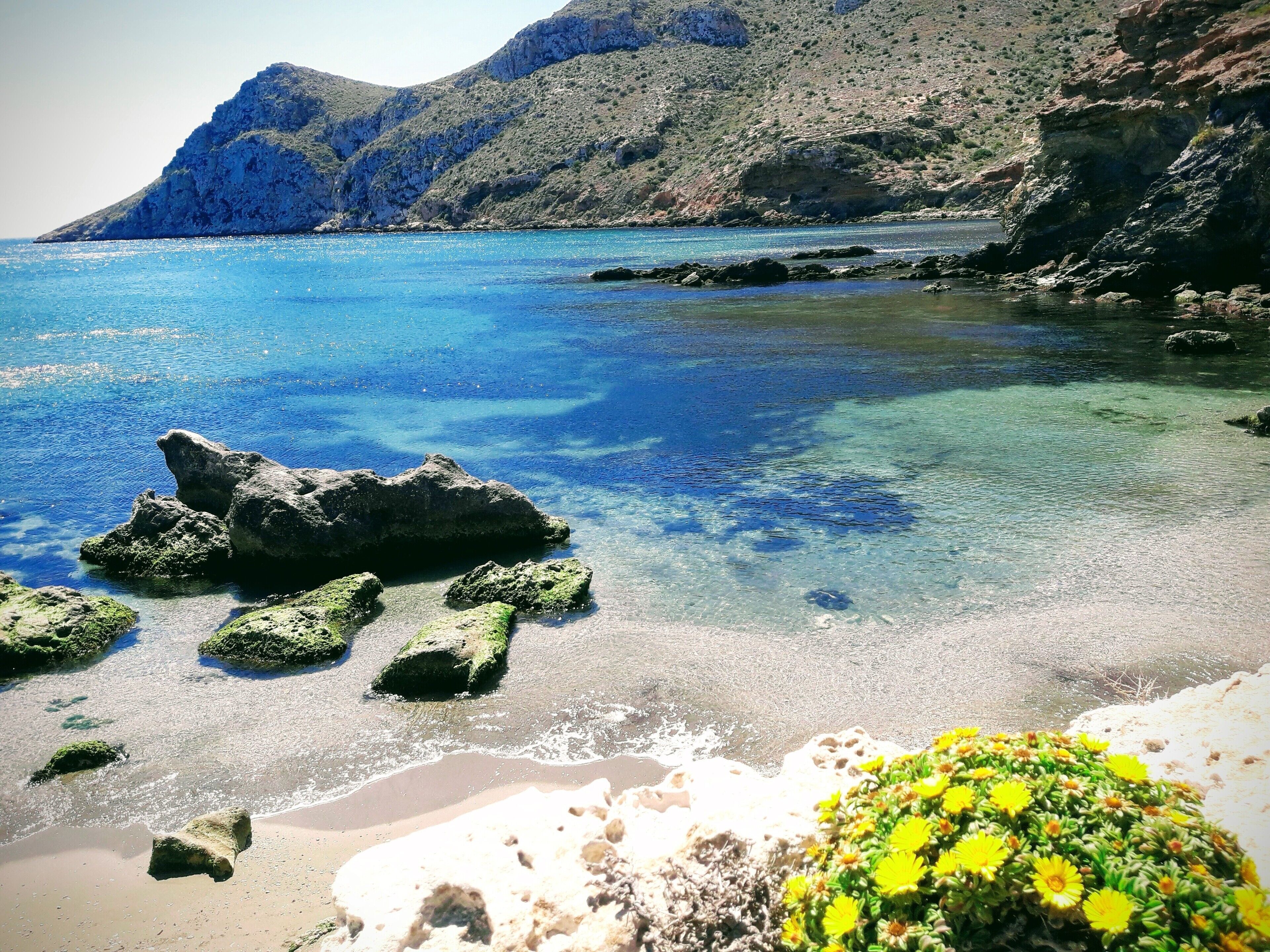 This is a photography of a Site of Community Importance in Spain with the ID: