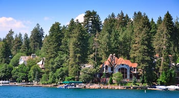 เครสต์ พาร์ค