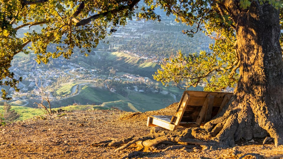 A bench under a tree overlooking a valley with houses and rolling hills.