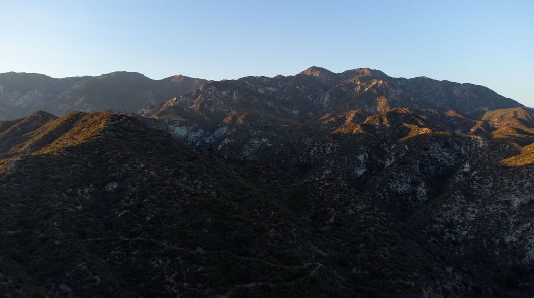 Tujunga