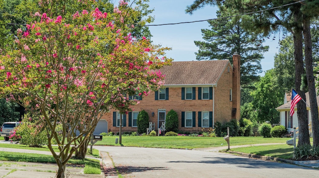 Churchland which includes a small town or village and wildflowers