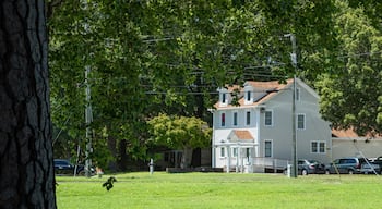 Churchland showing a garden and a house