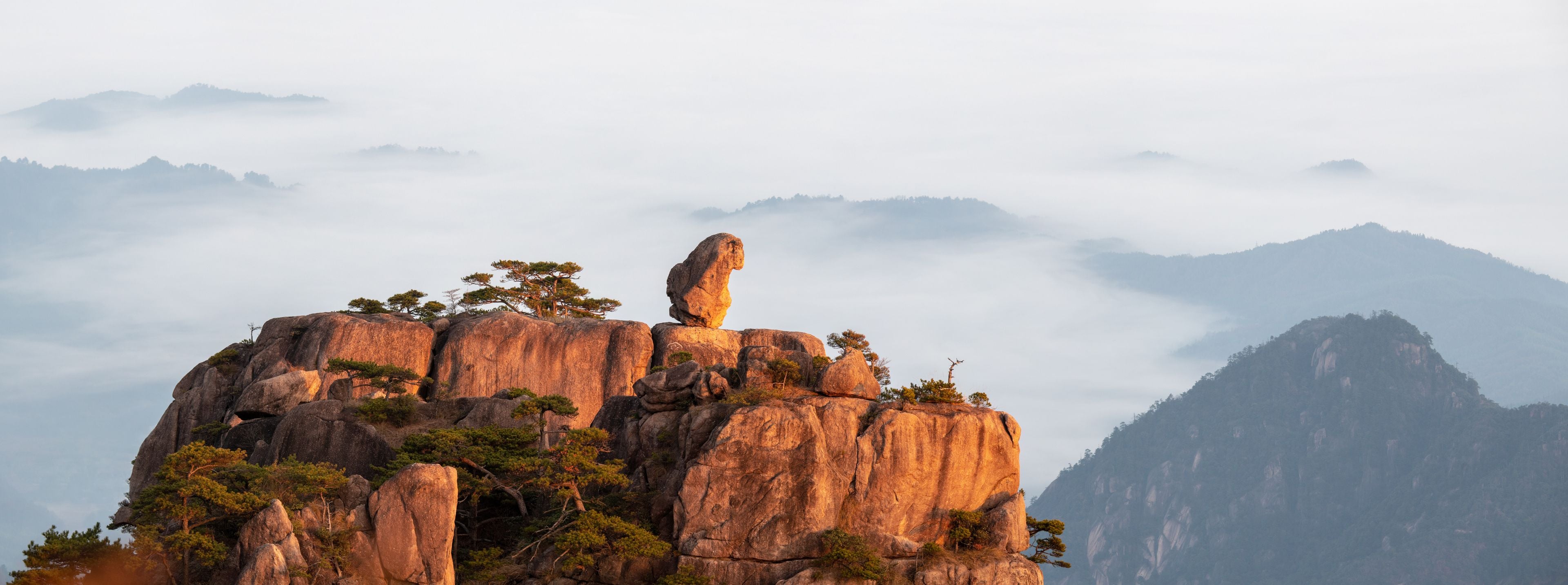 View of the Monkey Gaping at the Sea rock formation on a granite peak surrounded by ancient pine trees and a misty sea of clouds at sunrise Huangshan, Anhui, China.