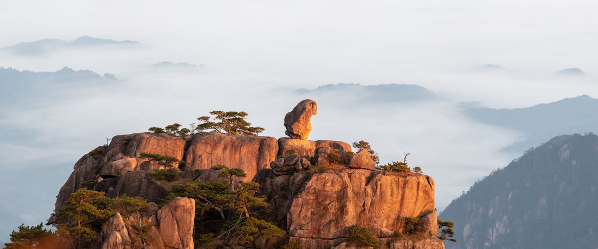 View of the Monkey Gaping at the Sea rock formation on a granite peak surrounded by ancient pine trees and a misty sea of clouds at sunrise Huangshan, Anhui, China.