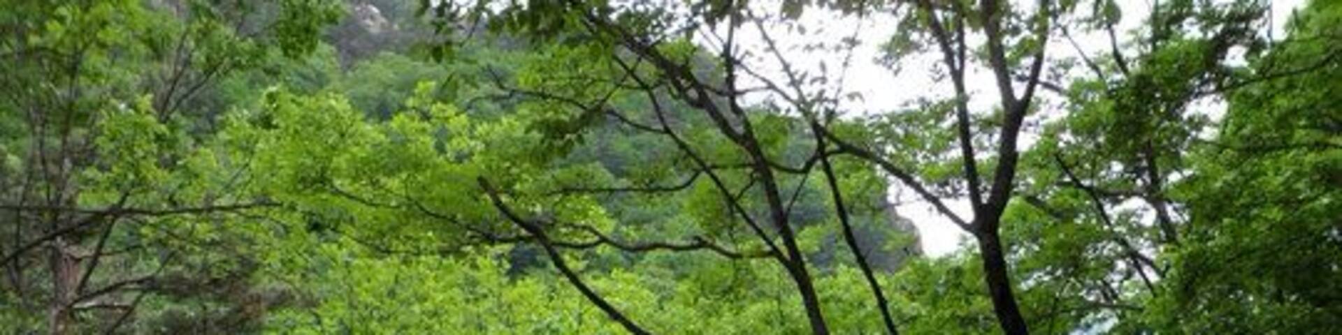 Some amazing hiking in South Korea! There are trails for all levels. The best times to go are spring and my personal favorite, fall, when the leaves are changing colors and it's gorgeous!
Btw, for some reason Trover insists this is in China?!?