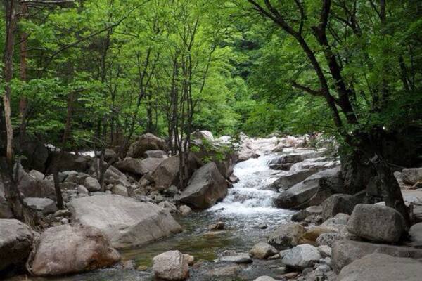 Some amazing hiking in South Korea! There are trails for all levels. The best times to go are spring and my personal favorite, fall, when the leaves are changing colors and it's gorgeous!
Btw, for some reason Trover insists this is in China?!?