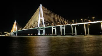 Shantou Bridge Night View, Guangdong China - Illuminated Cable-Stayed Architecture
