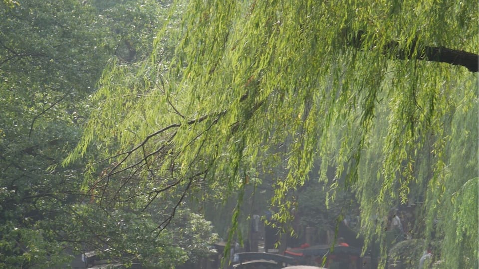 The water town of Nanxun, China about an hour southwest of Shanghai.