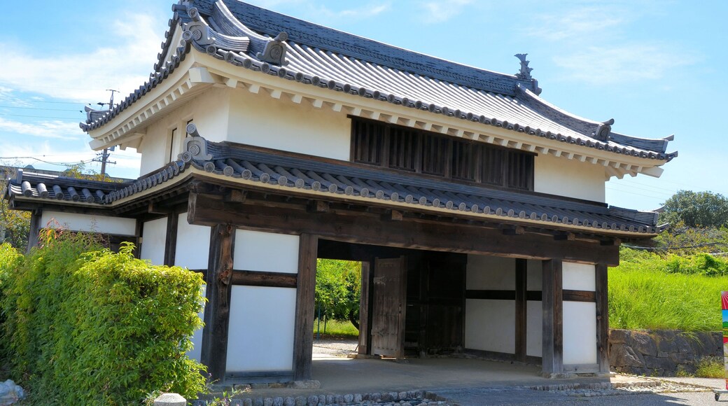 Kiracho