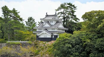 A traditional Japanese castle with multiple tiers, surrounded by lush greenery and trees.