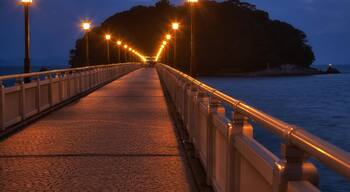 A nighttime walkway with street lamps leading to a hill.