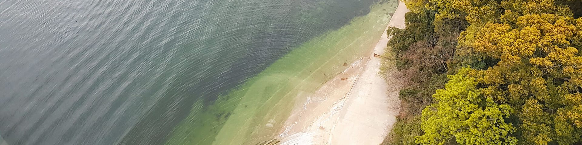A coastal landscape with a clear water body, sandy beach, and dense green foliage.